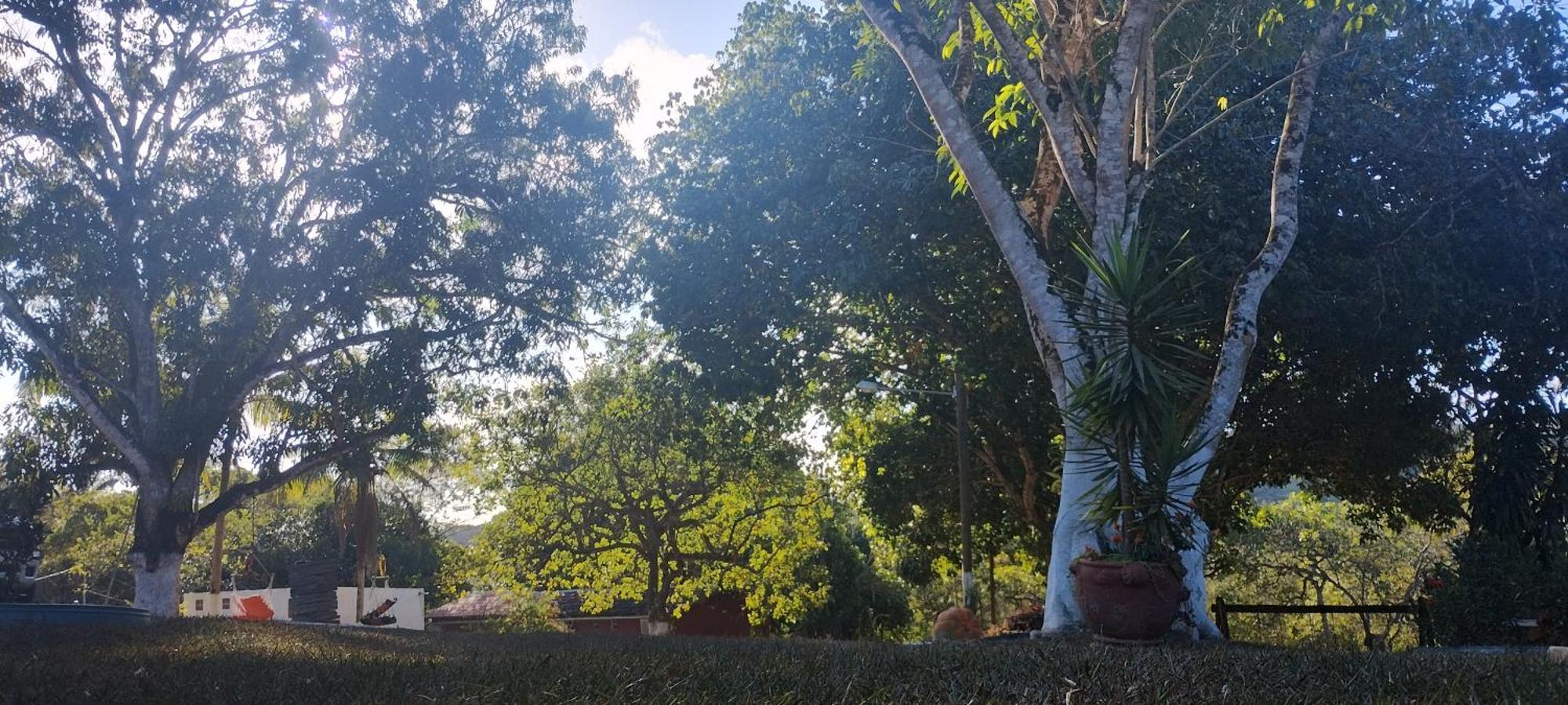 Fazenda Riachao Βίλα Pojuca Εξωτερικό φωτογραφία